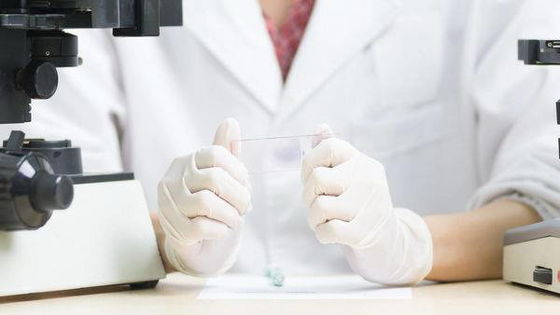Hand protection industrial safety gloves/latex surgical gloves
